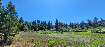 Hiking in Greater San Diego County – Landscape graphy, meadow, Southern California, California, landscape, hiking, graphy, nature HD wallpaper