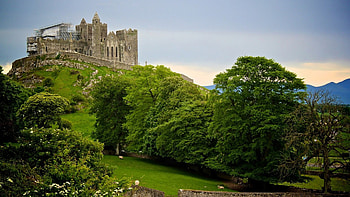 rock of cashel in ireland, construction, ruins, sheep, trees, castle, hill HD wallpaper