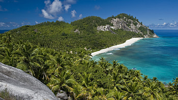 North Island, Seychelles, sea, palms, trees, coast, rocks HD wallpaper
