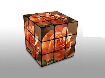 A Rose By Any Other Name, rubic, rose, cube, square HD wallpaper