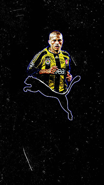 Alex De Souza, alexdesouza, fener, doktor, efsane, fenerbahce, football, 10, football HD phone wallpaper