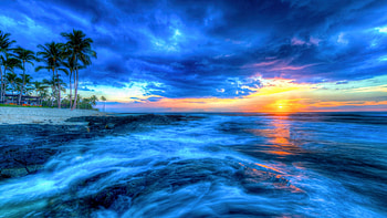 Hawaiian Sunset, sky, beach, sea, palms, clouds, usa HD wallpaper