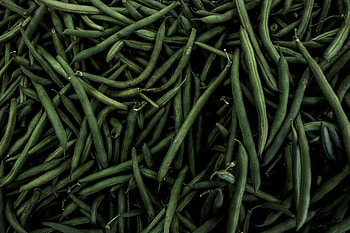Food, Beans, Bean, Pods HD wallpaper