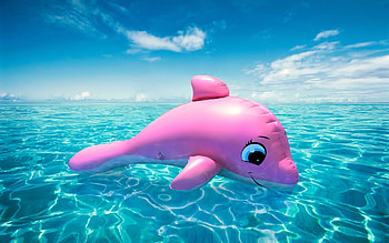 Landscape, Water, Sky, Dolfins, Toys HD wallpaper