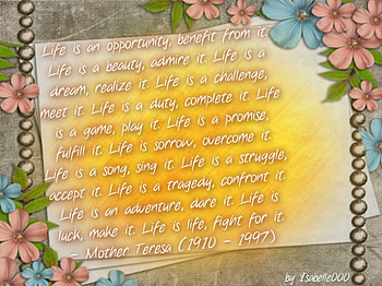 quote, words, MOTHER THERESA, text HD wallpaper