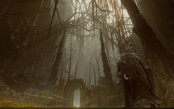 Elden Ring — Shadow of the Erdtree: Withered Gate, video game, Elden Ring, Elden Ring Shadow of the Erdtree HD wallpaper