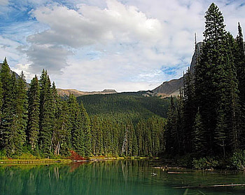 Emerald Lake Yoho National Park, Canada, trees, sky, water, lake HD wallpaper
