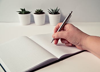 Handwriting in a lined notebook placed on a table with succulent plants in the background. HD wallpaper
