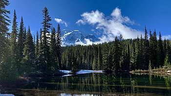 Lake and forest HD wallpaper
