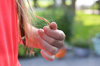 Hand, Miscellanea, Miscellaneous, Girl, Hair, Fingers HD wallpaper