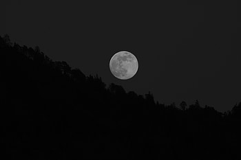 Moon, Trees, Dark, Bw, Chb, Full Moon HD wallpaper