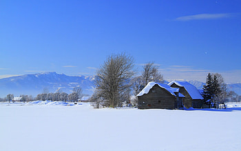 Winter, roe, alleys, nice, fence, snow, trees, care, snowy, house, cold, girl, tree, pretty, light, deer, cottage, lovely, home, countryside, kindness, snowflakes, holiday, yard, painting, new year, frost, magic, frozen, beautiful, little, park, cabin, christmas, sky, forest, village HD wallpaper