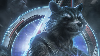 Raccoon illustration, , backgrounds HD wallpaper