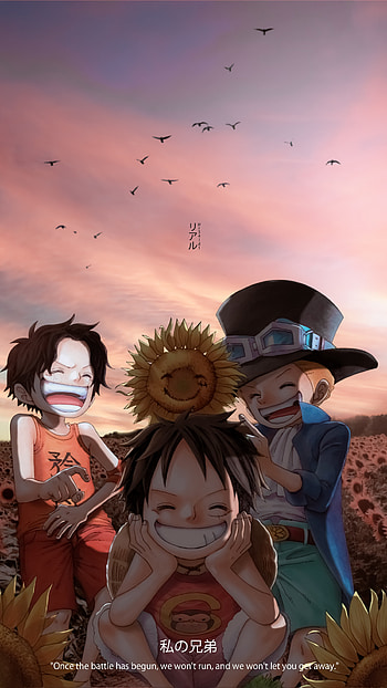 Ace , Sabo & Luffy, piece, r34ld1, one, zoro, sanji, anime HD phone wallpaper