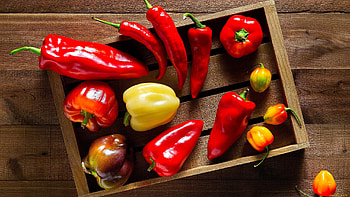 Paprika Pepper, Vibrant vegetables, Colorful , Aniac's HD wallpaper