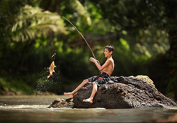Boy fishing, fishing, lake, rock, sitting, boy, goldfish, young, happy, fish, forest, caught HD wallpaper