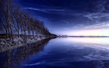 Nature, Trees, Sky, Lake, Reflection, Evening, Row HD wallpaper