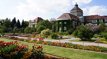 Nature, Flowers, Vegetation, Garden, Courtyard, Yard, Estate HD wallpaper