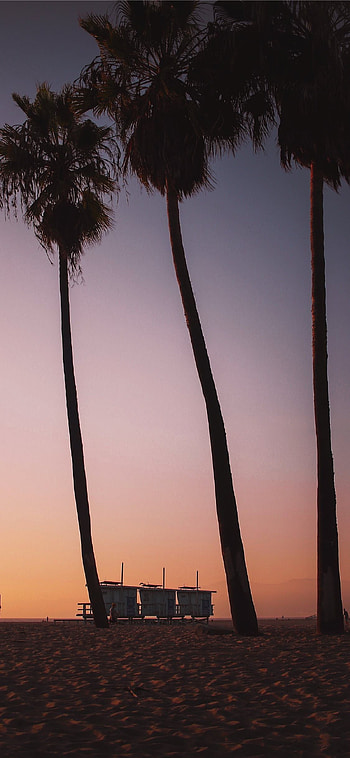 Venice Beach sunset, Vibrant colors, Serene atmosphere, Beachfront escape HD phone wallpaper