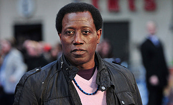 Wesley Snipes, , , Actor HD wallpaper