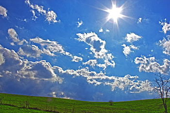Super Perfect Day, blue, grass, country, perfect, super, tree, day, bright, fence, sky, sun HD wallpaper