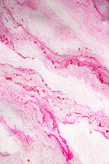 Abstract, Pink, Divorces, Paint, Liquid HD phone wallpaper