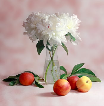 A delicate arrangement of white peonies in a vase with fresh peaches and green leaves, creating an elegant still life. HD phone wallpaper