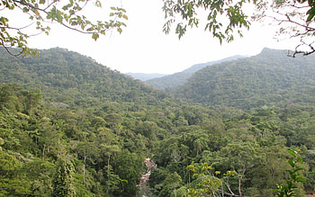Equatorial Guinea, hintergrundbilder, Travels, Nature HD wallpaper