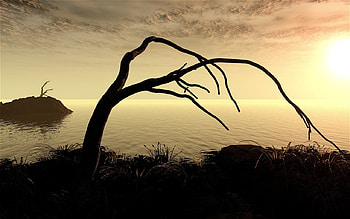 Alone and Died near Lake, river, alone, dark, tree, lake, sad, clouds, nature, sky HD wallpaper