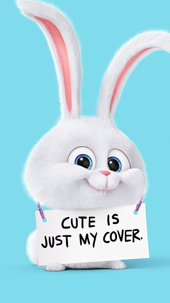 Cute is just my cover, cover HD phone wallpaper