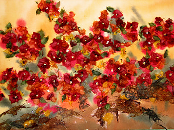 Colorful, yellow, red, beautiful, nature, flowers, orange HD wallpaper