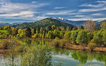 Lake, trees, sky, nature HD wallpaper