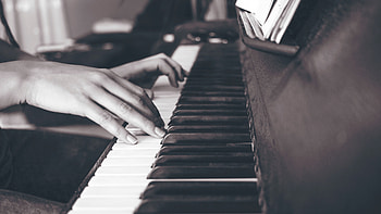 Music, Piano, Hands, Bw, Chb, Keys HD wallpaper