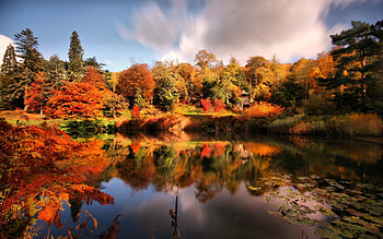 BEAUTIFUL AUTUMN COLORS, LEAVES, COLORED, BEAUTIFUL, AUTUMN HD wallpaper