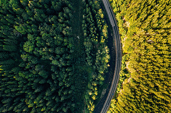 Aerial view, green trees, forest, fall HD wallpaper