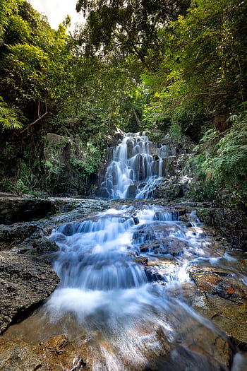 A tranquil waterfall cascading through a verdant forest, showcasing nature's beauty. HD phone wallpaper