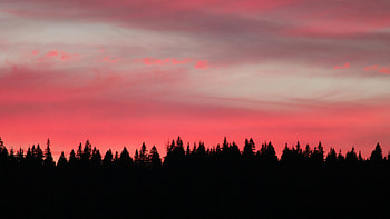Side Of Lost Lake At Sunset, sunset, lake, sky, tree, trees, nature HD wallpaper