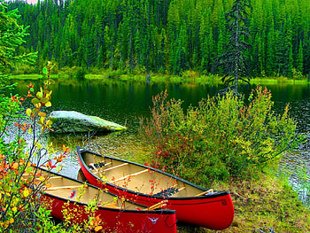 Boats on lakeshore, blue, river, lakeshore, plants, bank, peaceful, shore, reflection, boats, trees, greenery, calm, bushes, beautiful, grass, lake, emerald, mirrored, green, abandones, red, nature, riverbank, calmness, stream HD wallpaper