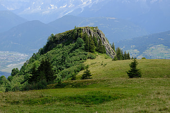 Nature, Trees, Grass, Mountains, Bush, Rock, Fog HD wallpaper