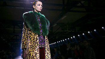 Dries Van Noten, Intriguing fashion, Maison Margiela, Fashion industry HD wallpaper