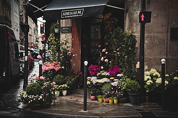 A que flower shop on a vibrant urban street with a variety of colorful blooms on display. HD wallpaper