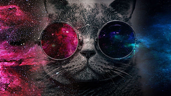 Galaxy Cat, Captivating , Cosmic art, Stellar HD wallpaper