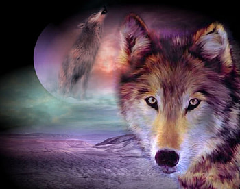 Mystic wolves, animal, wild, wolf, predator HD wallpaper