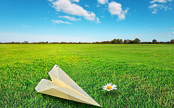 Flower Rocket, flower, rocket, graphy HD wallpaper