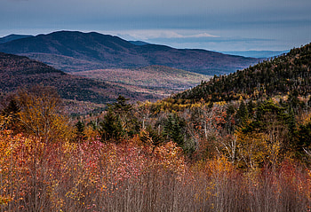 Nature, Trees, Mountains, Autumn, Forest HD wallpaper