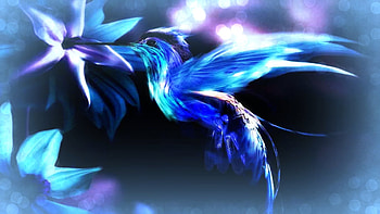Magical Blue Bird, blue, bird, fantasy, magical, hummingbird HD wallpaper