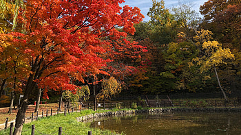 Lake Surrounded By Colorful Autumn Trees Beautiful Scenery During Daytime Nature HD wallpaper