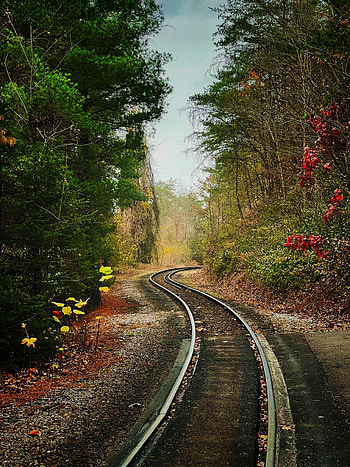 Nature, Trees, Bush, Railway, Rails HD phone wallpaper