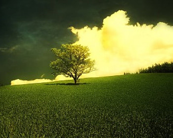W4, other, abstract HD wallpaper