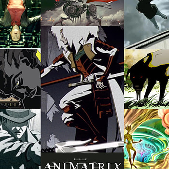 The Animatrix, Critical review, Anime analysis, Tortellini symbolism HD phone wallpaper